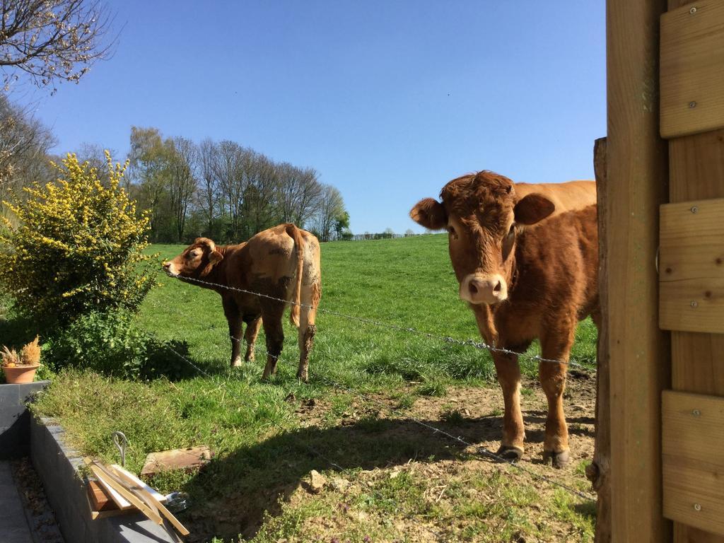Vakantiewoning Kleijnen Noorbeek Dış mekan fotoğraf